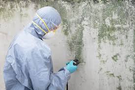 Best Airborne Mold Testing  in North Madison, OH